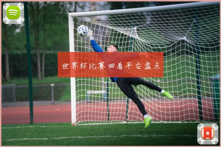 世界杯比赛回看平台盘点