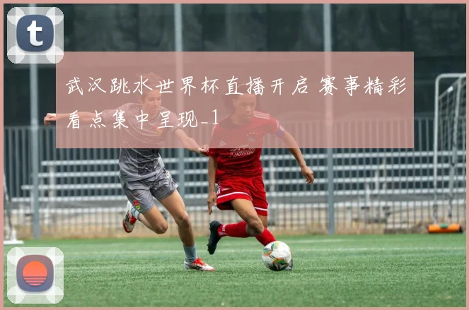 武汉跳水世界杯直播开启 赛事精彩看点集中呈现_1