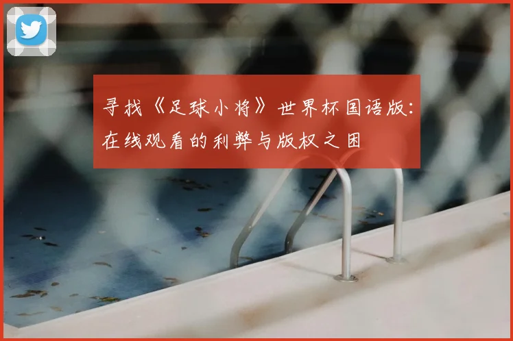 寻找《足球小将》世界杯国语版:在线观看的利弊与版权之困