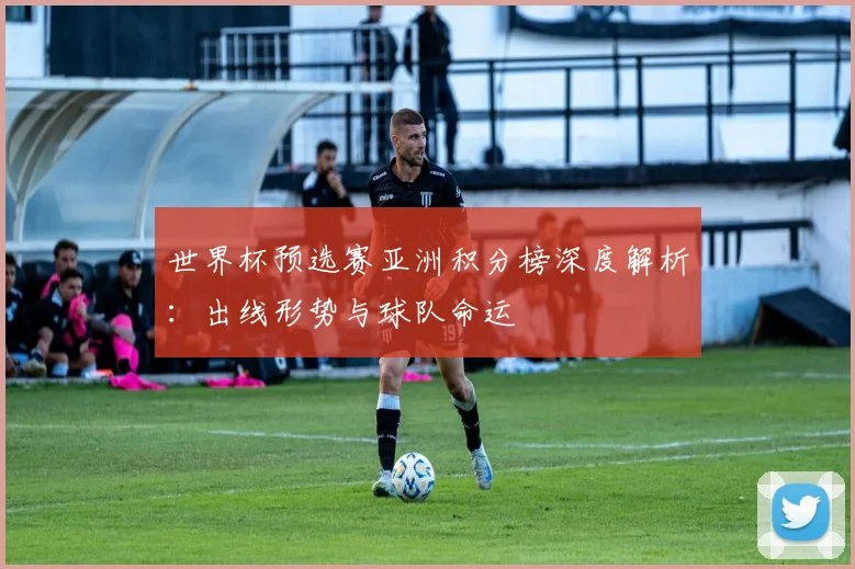 世界杯预选赛亚洲积分榜深度解析:出线形势与球队命运