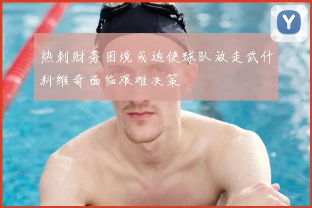 热刺财务困境或迫使球队放走武什科维奇面临艰难决策