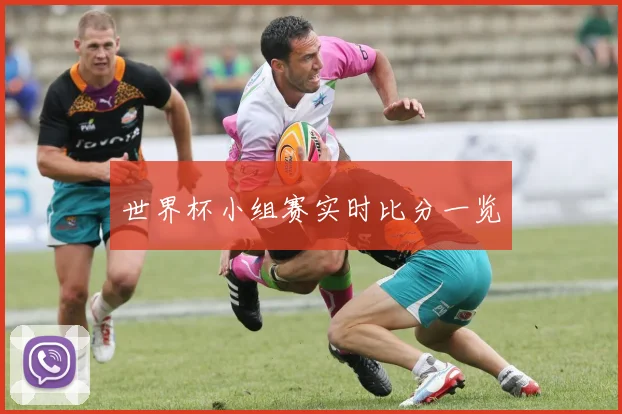 世界杯小组赛实时比分一览