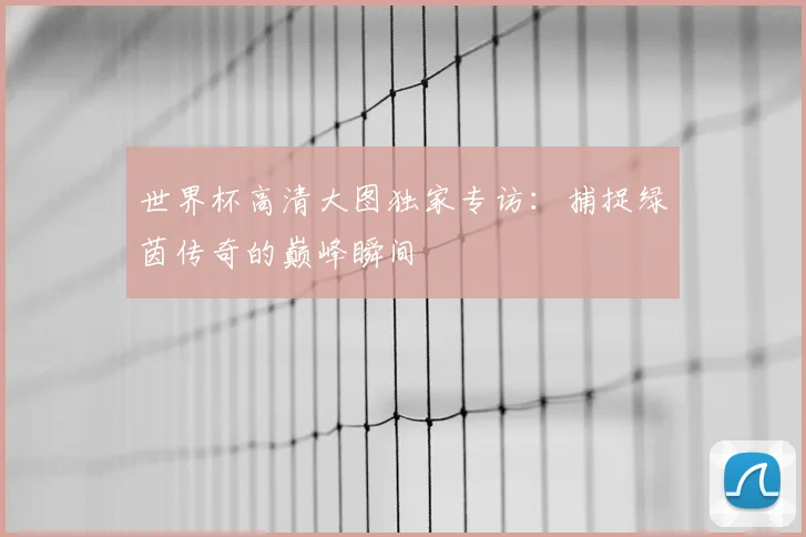 世界杯高清大图独家专访:捕捉绿茵传奇的巅峰瞬间
