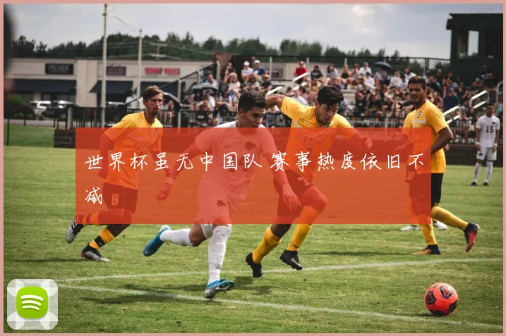世界杯虽无中国队 赛事热度依旧不减